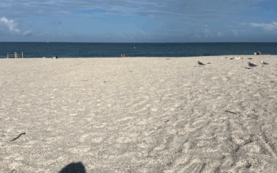 Nervous System Healing for High-Achieving Women | The Real Shift